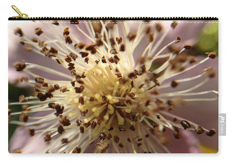 Macro Zip Pouch featuring the photograph Small Seeds by Chriss Pagani