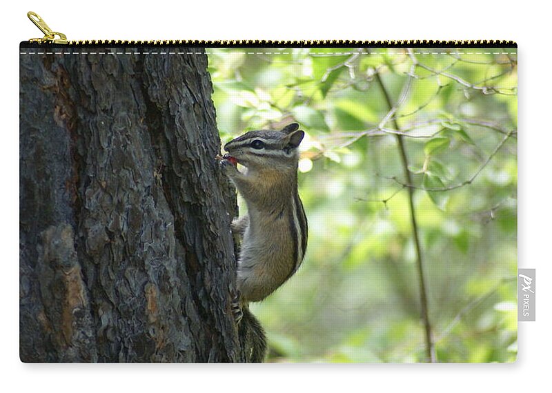 Chipmunk Zip Pouch featuring the photograph Snacking in the Woods by Ben Upham III