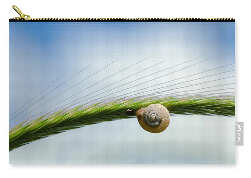 Climb Zip Pouch featuring the photograph Snail on the spikelet by Michael Goyberg