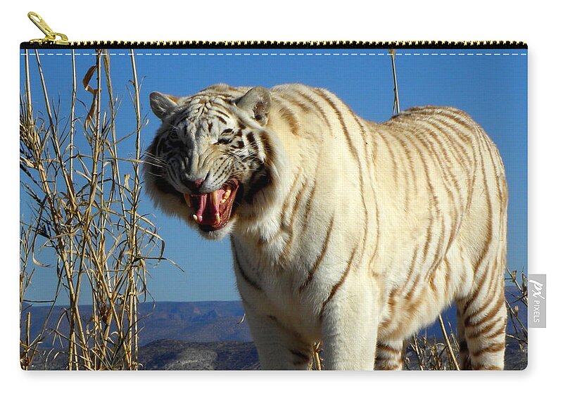 White Carry-all Pouch featuring the photograph Snarl by Kim Galluzzo Wozniak
