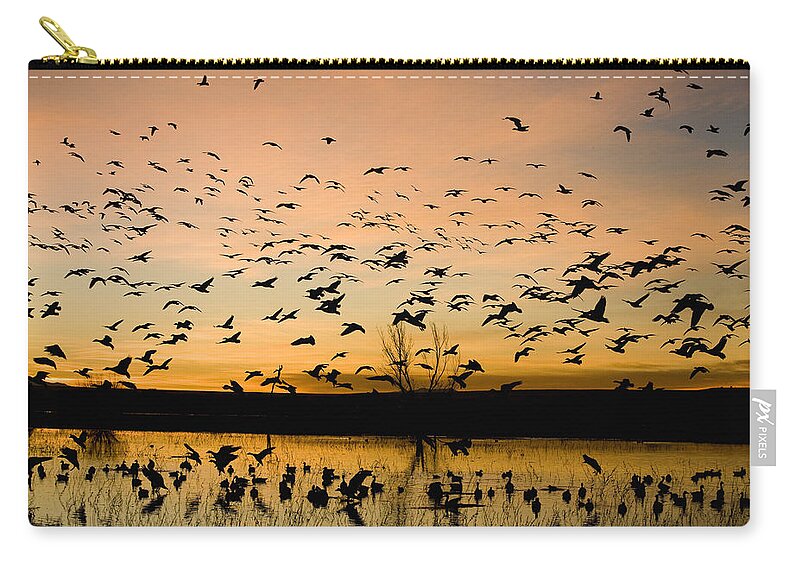 00465725 Zip Pouch featuring the photograph Snow Geese Flying At Sunrise Bosque Del by Sebastian Kennerknecht