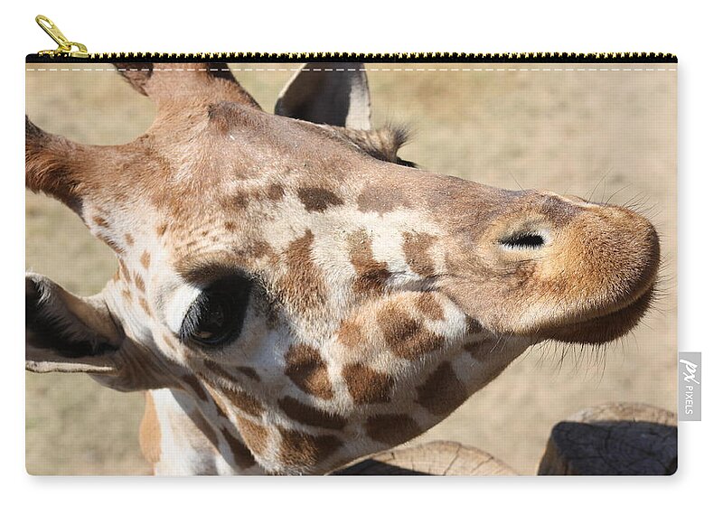 Giraffe Carry-all Pouch featuring the photograph So Cute by Kim Galluzzo Wozniak