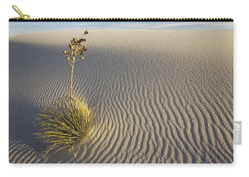 Mp Zip Pouch featuring the photograph Soaptree Yucca Yucca Elata Growing by Konrad Wothe