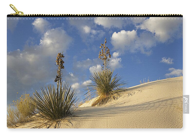 Mp Zip Pouch featuring the photograph Soaptree Yucca Yucca Elata Pair Growing by Konrad Wothe