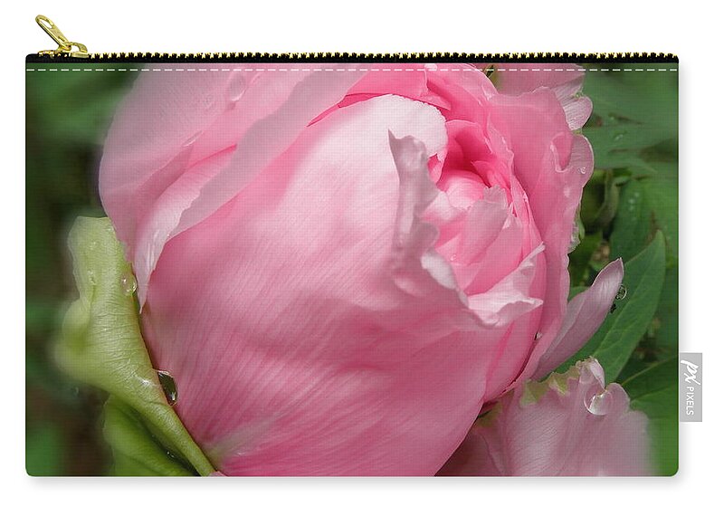 Pink Zip Pouch featuring the photograph Soft Beauty by Kim Galluzzo Wozniak