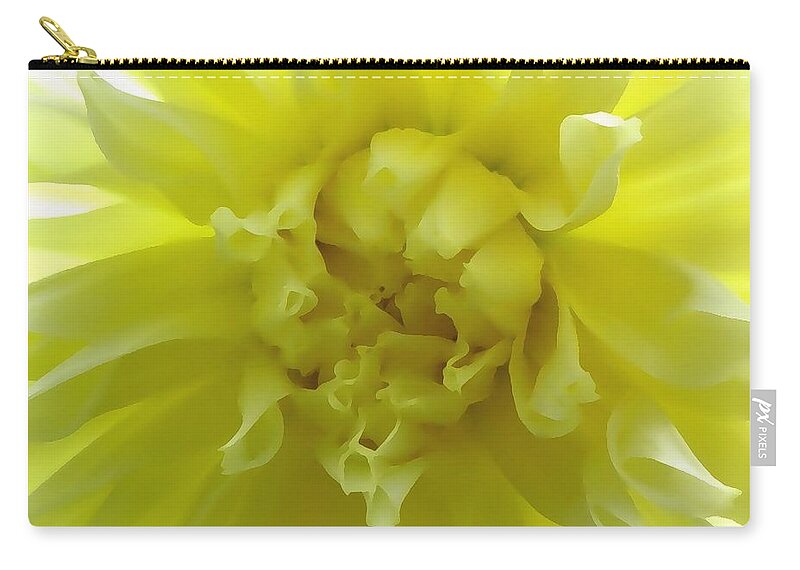 Yellow Zip Pouch featuring the photograph Soft Mellow Yellow by Kim Galluzzo