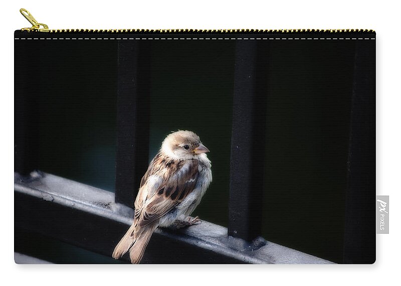 Sparrow Zip Pouch featuring the photograph Sparrow by Karol Livote