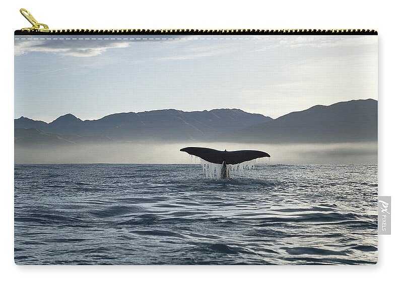00114221 Zip Pouch featuring the photograph Sperm Whale Tail New Zealand by Flip Nicklin