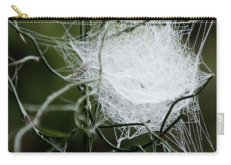 Spider Web Zip Pouch featuring the photograph Spider Web Basket by CM Stonebridge