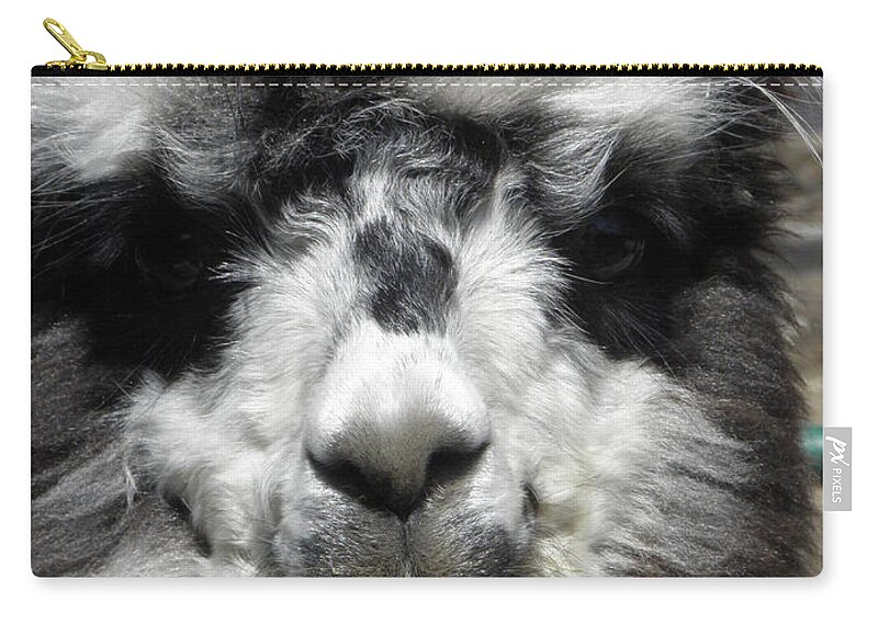 Alpaca Carry-all Pouch featuring the photograph Spikey by Kim Galluzzo Wozniak
