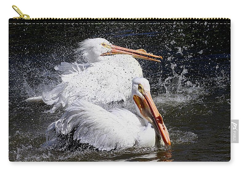 Pelicans Zip Pouch featuring the photograph Splish Splash by Elizabeth Winter