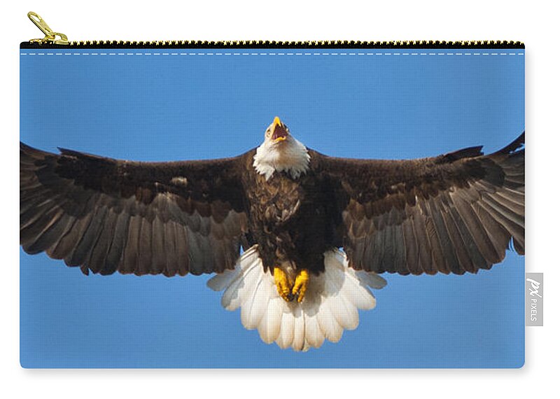 Eagle Spread Eight Feet Zip Pouch featuring the photograph Spread Eagle by Randall Branham