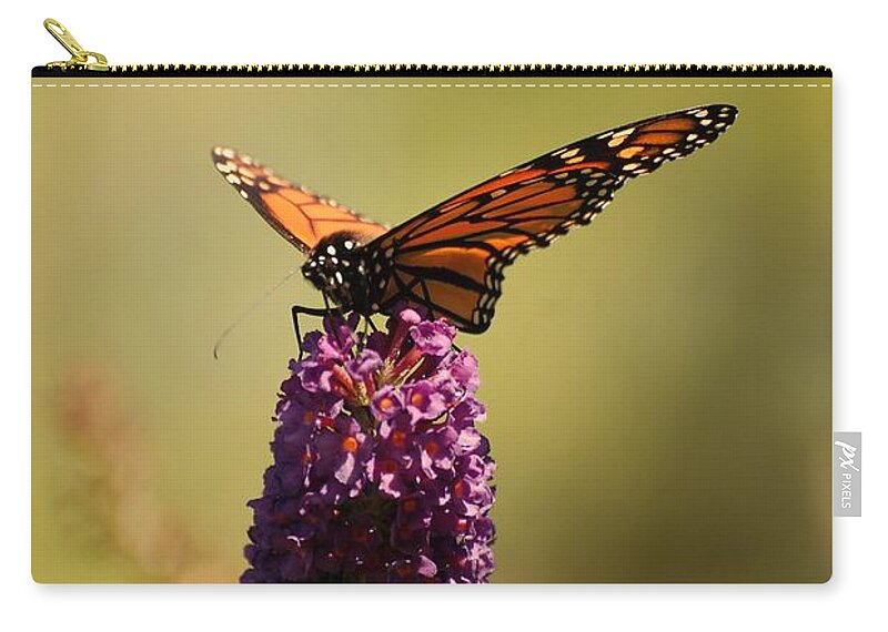 Spread Your Wings And Fly Zip Pouch featuring the photograph Spread Your Wings And Fly by Angie Tirado