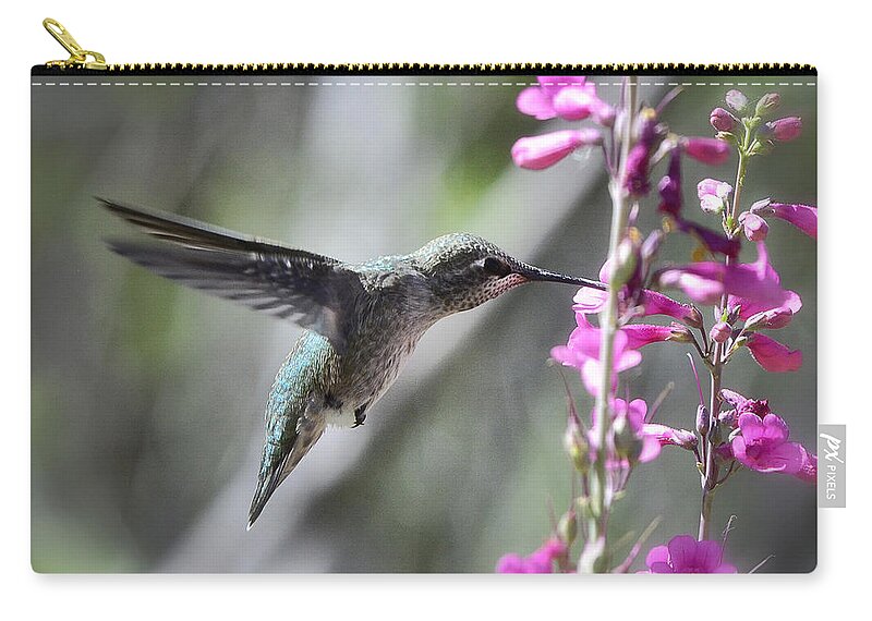 Anna's Hummingbird Zip Pouch featuring the photograph Spread Your Wings and Fly by Saija Lehtonen
