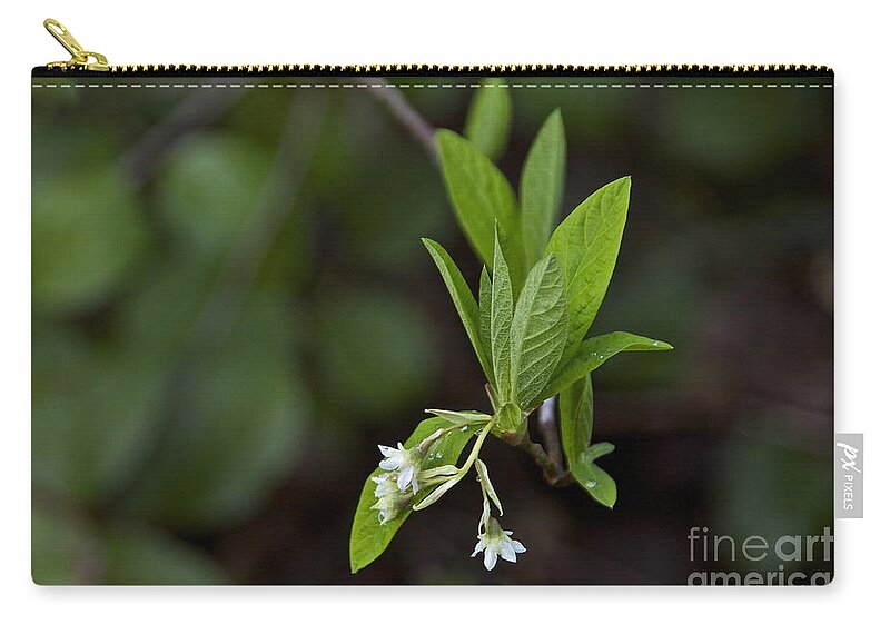 Photography Zip Pouch featuring the photograph Spring blossoms by Sean Griffin