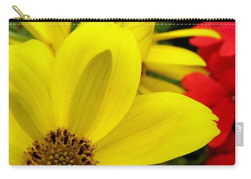 Yellow Flower Carry-all Pouch featuring the photograph Spring Has Sprung by Kim Galluzzo Wozniak