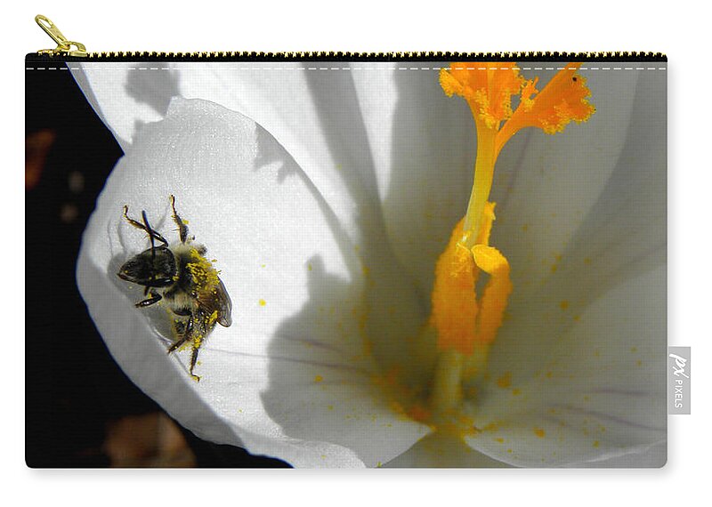 Bee Zip Pouch featuring the photograph Springs First Pollination by Kim Galluzzo