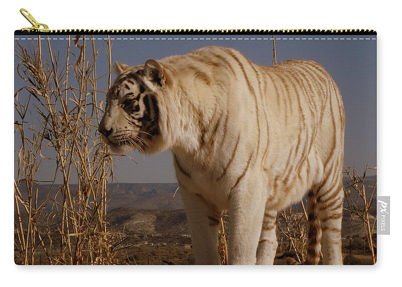 White Zip Pouch featuring the photograph Standing Attention by Kim Galluzzo
