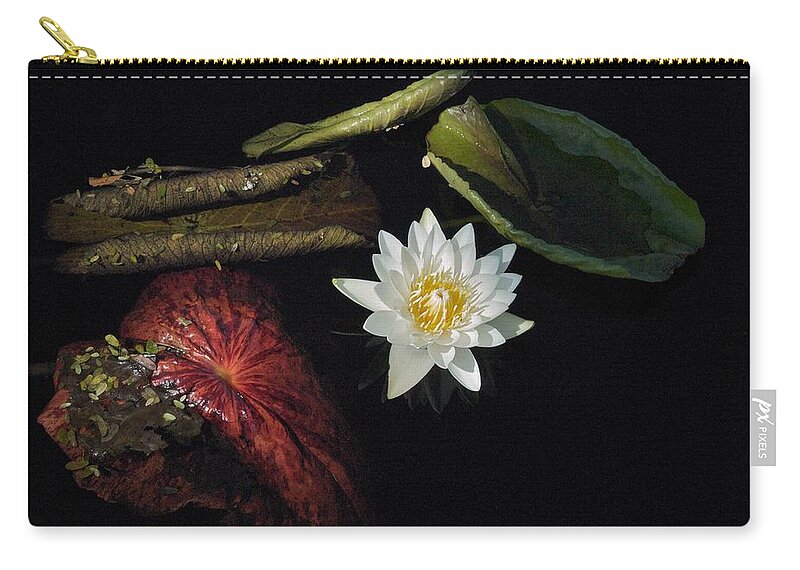 Brazillian Water Lilly Zip Pouch featuring the photograph Still Life by Joseph Yarbrough