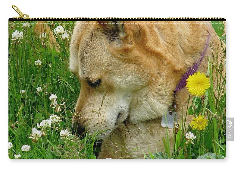 Dog Carry-all Pouch featuring the photograph Stop And Smell The Clover by Rory Siegel