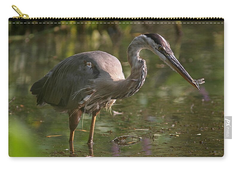 Great Blue Heron Zip Pouch featuring the photograph Stop Bugging Me by Juergen Roth