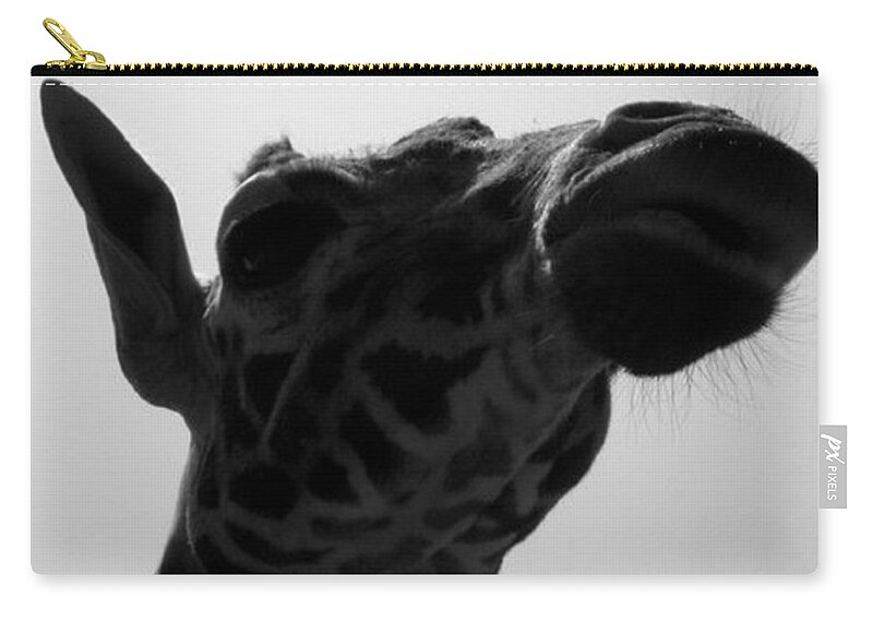 Giraffe Zip Pouch featuring the photograph Strike A Pose by Kim Galluzzo