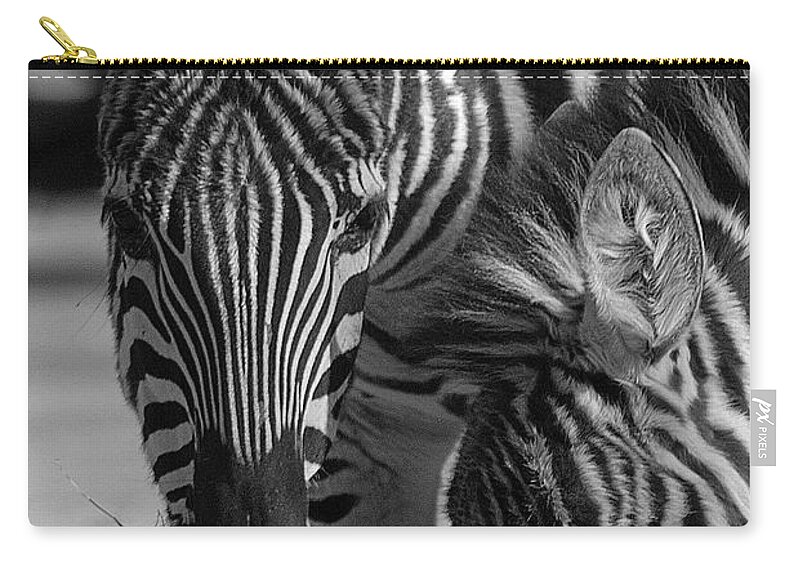 Stripes Zip Pouch featuring the photograph Stripes - Zebra by DArcy Evans