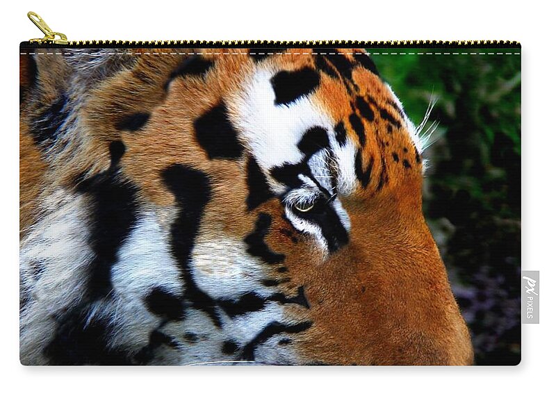 Tiger Zip Pouch featuring the photograph Sumatran Strength by Davandra Cribbie