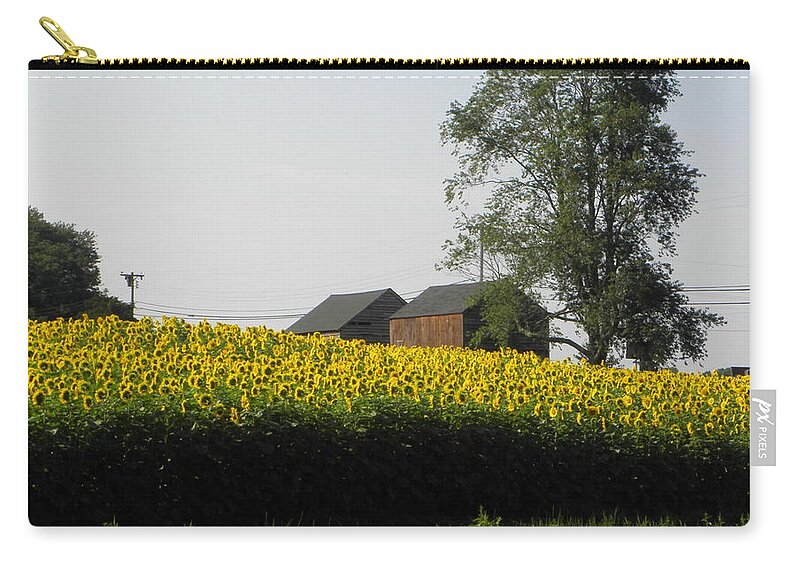Connecticut Zip Pouch featuring the photograph Summer blooms in Connecticut by Kim Galluzzo