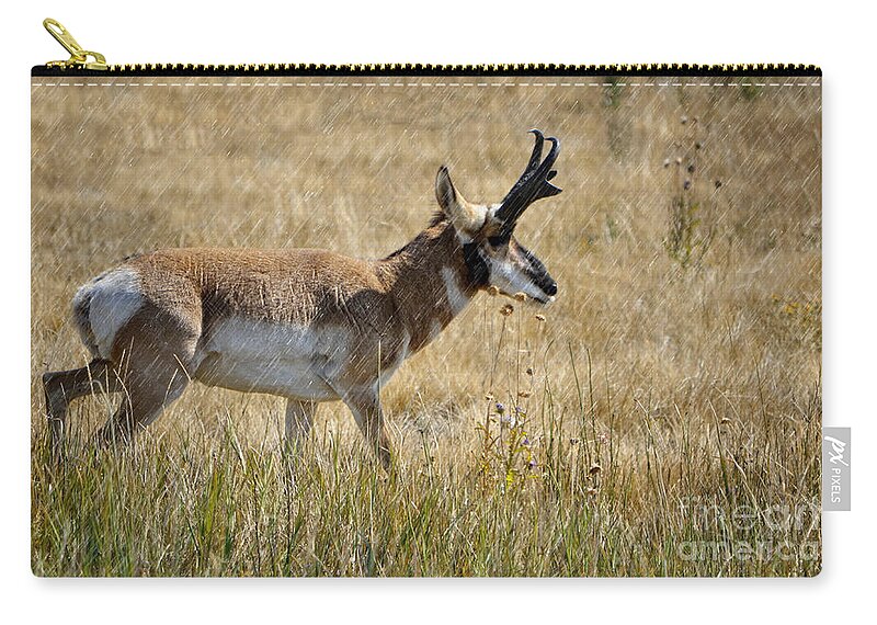 Pronghorn Zip Pouch featuring the photograph Summer Pronghorn Rain by Donna Greene