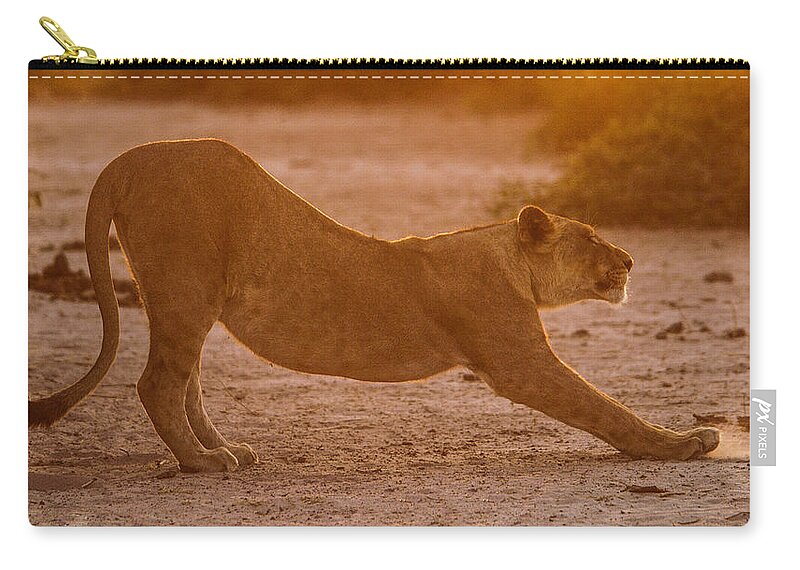 Action Zip Pouch featuring the photograph Sun stretch by Alistair Lyne