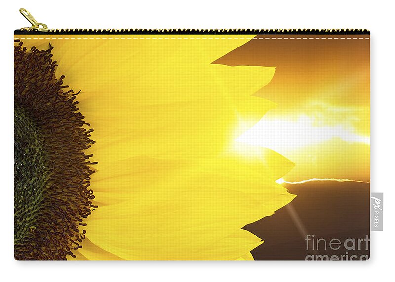 Sunflower Zip Pouch featuring the photograph Sunflower and sunset by Simon Bratt