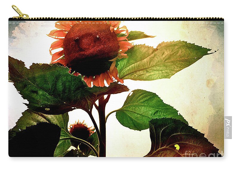 Sunflower Zip Pouch featuring the photograph The Business of Bees by Kevyn Bashore