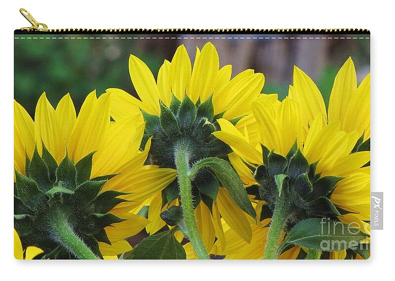 Sunflowers Details Yellow Behind Zip Pouch featuring the photograph Sunflowers by Michele Penner