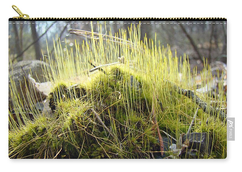 Moss Zip Pouch featuring the photograph Sunlight in My Hair - Fruiting Moss by Carol Senske