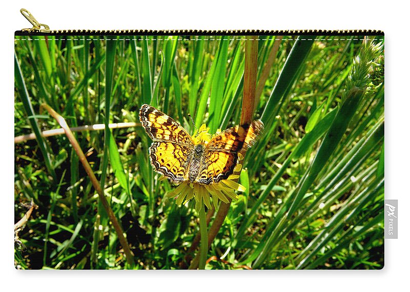 Butterfly Zip Pouch featuring the photograph Sunning On A Dandelion by Kim Galluzzo Wozniak