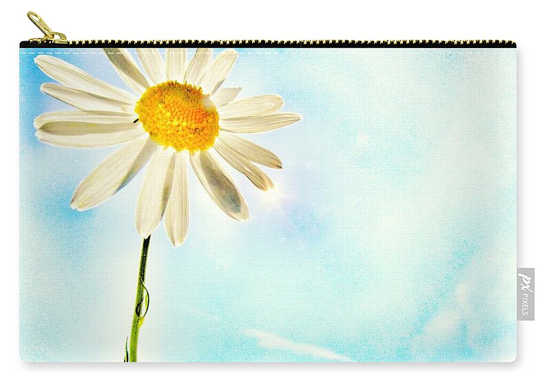Daisy Zip Pouch featuring the photograph Sunshine by Marianna Mills