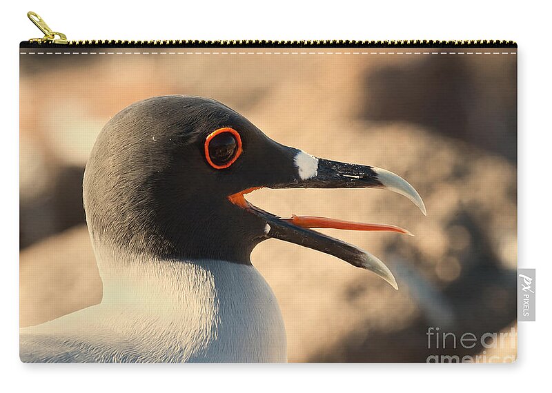 Animal Zip Pouch featuring the photograph Swallow-tailed Gull by Jean-Luc Baron