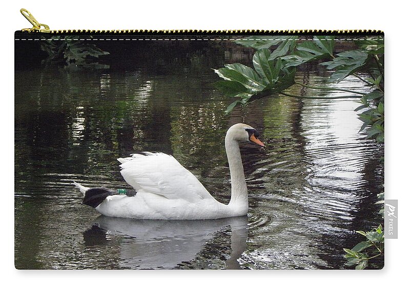 Swan Zip Pouch featuring the photograph Swan beauty by Kim Galluzzo