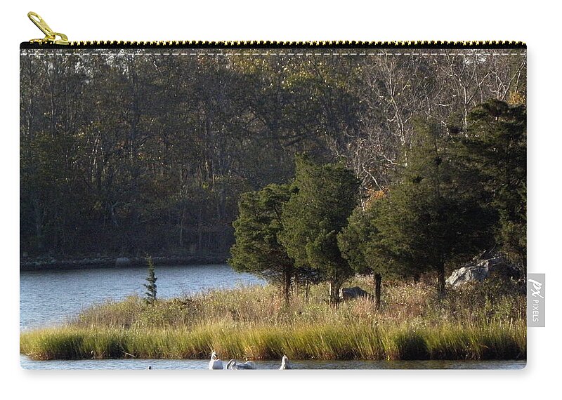Swans Zip Pouch featuring the photograph Swan Scenery by Kim Galluzzo Wozniak