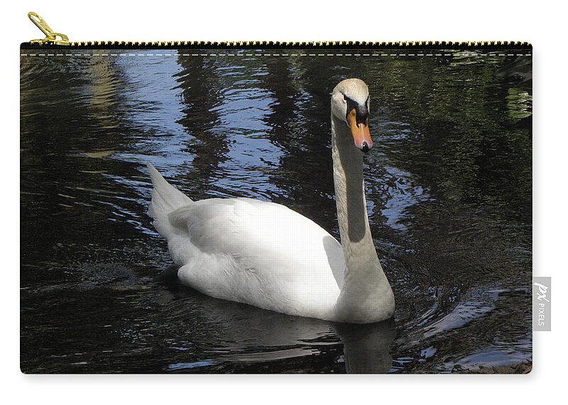 Swan Zip Pouch featuring the photograph Swan Swim by Kim Galluzzo