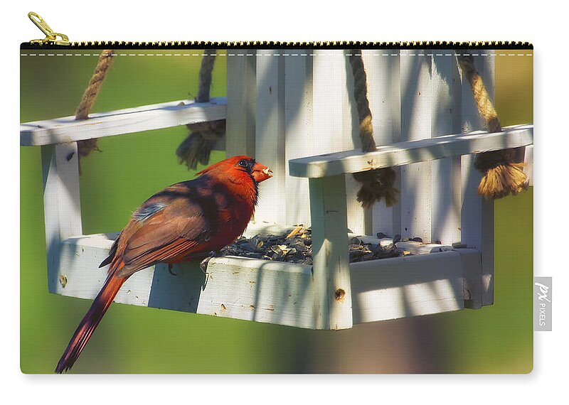 Cardinal Zip Pouch featuring the photograph Swingin Cardinal by Bill and Linda Tiepelman