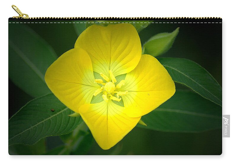 Flower Zip Pouch featuring the photograph Symmetry by David Weeks
