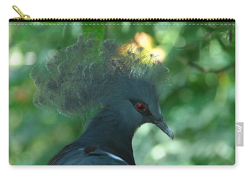 Bird Zip Pouch featuring the photograph Take The Red Eye by Donna Blackhall