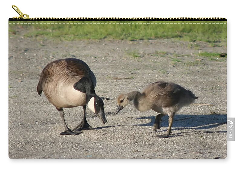 Canada Goose Carry-all Pouch featuring the photograph Teaching by Smilin Eyes Treasures