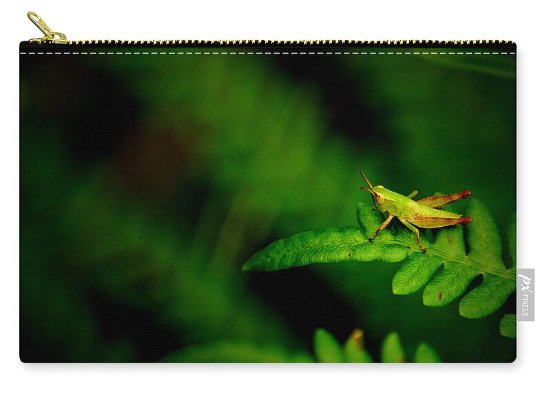 Grasshopper Zip Pouch featuring the photograph The Abyss by David Weeks