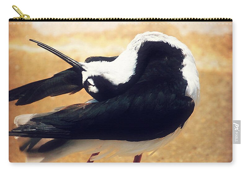 Landscape Zip Pouch featuring the photograph The Ballerina Bird by Peggy Franz