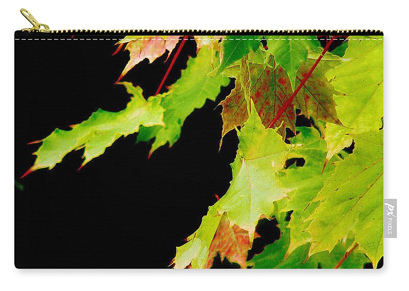 Maple Zip Pouch featuring the photograph The Beginning Of Change by Rory Siegel