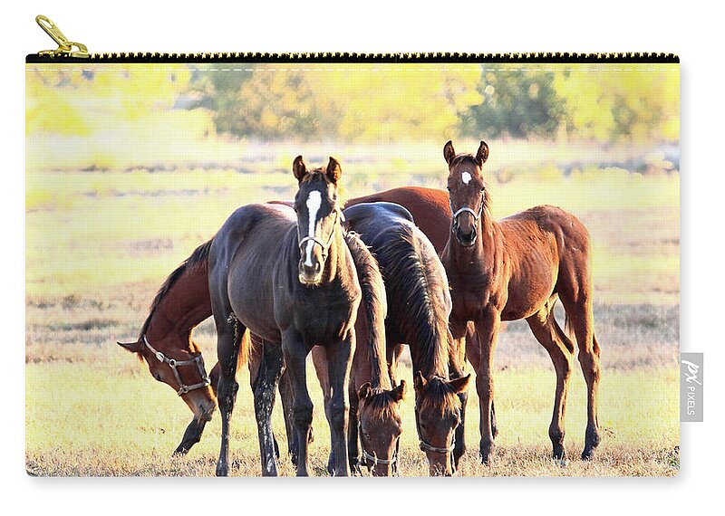  Zip Pouch featuring the photograph 'The Boys' by PJQandFriends Photography