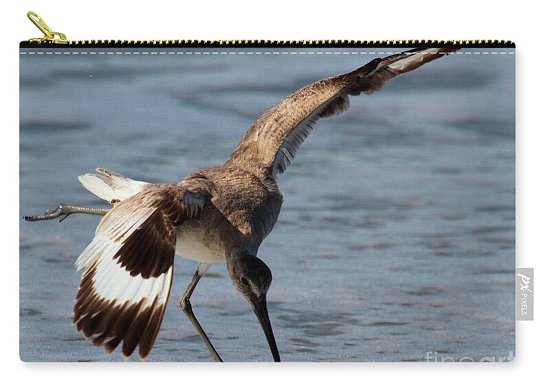Cape Hatteras National Seashore Zip Pouch featuring the photograph The Dinner Dance by Adam Jewell